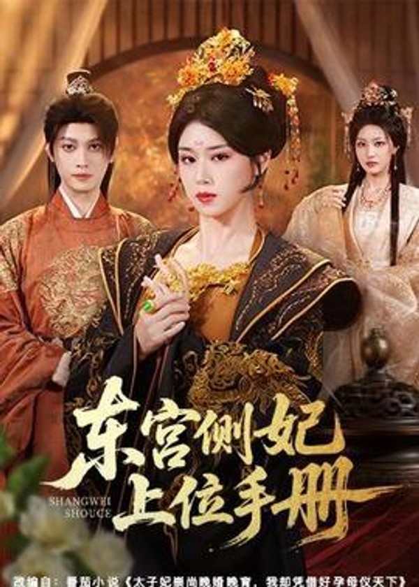 东宫侧妃上位手册封面图