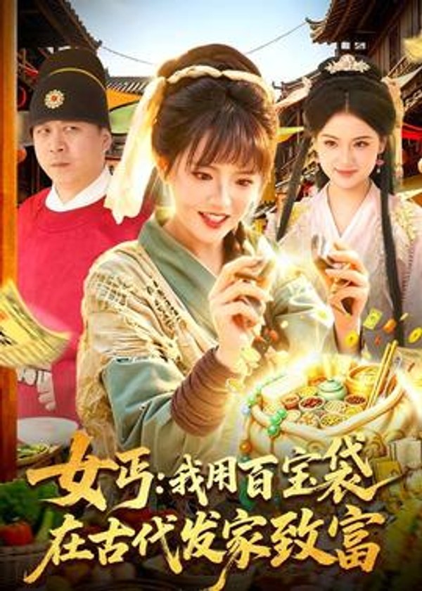 女丐：我用百宝袋在古代发家致富封面图