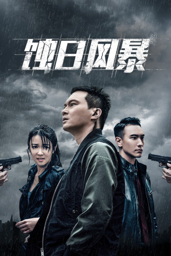 蚀日风暴封面图