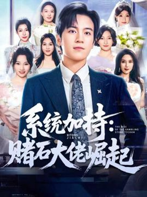 统加持：赌石大佬崛起封面图