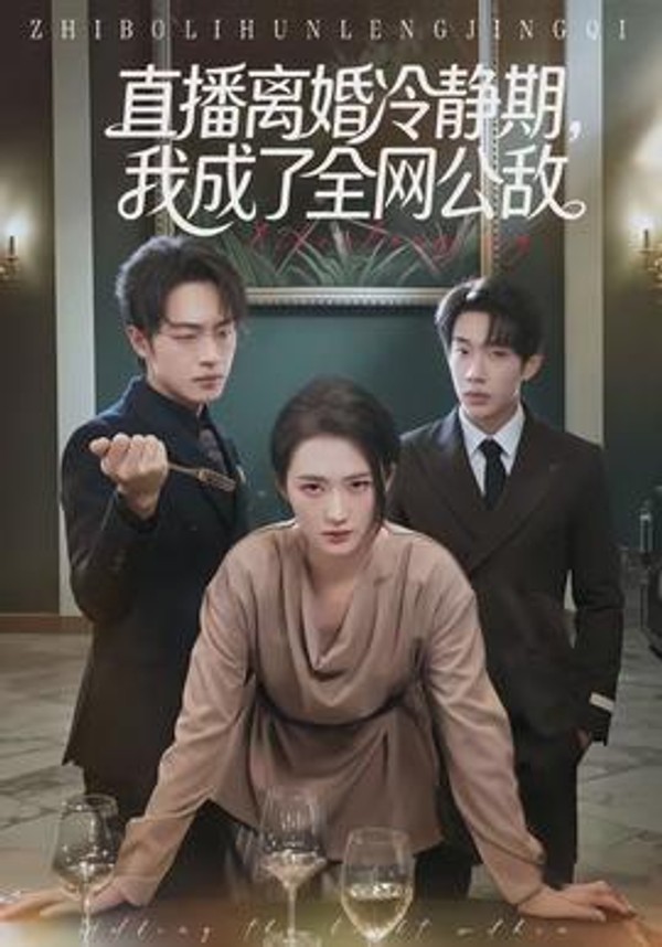 直播离婚冷静期，我成了全网公敌封面图