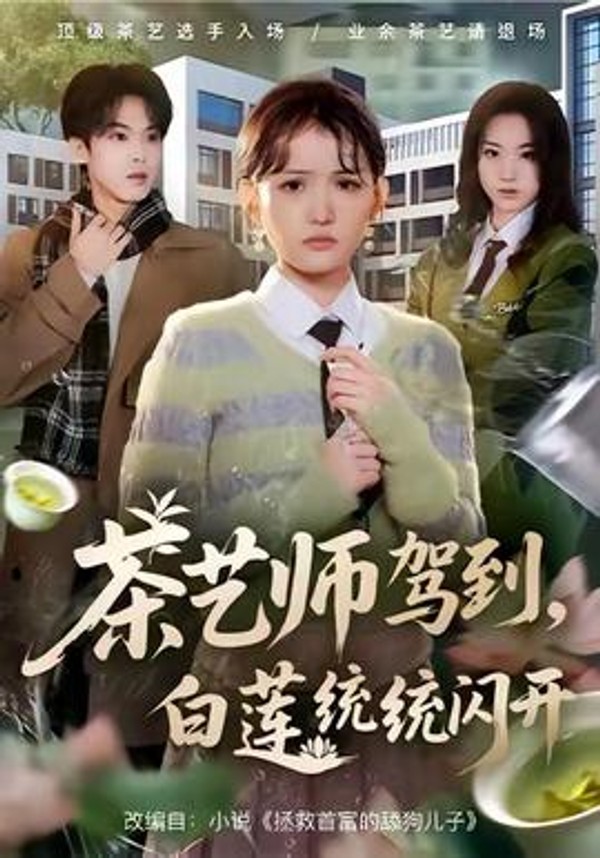 茶艺师驾到白莲统统闪开封面图