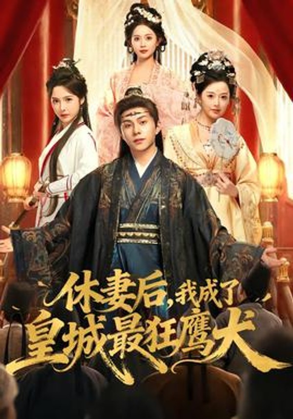 休妻后，我成了皇城最狂鹰犬封面图