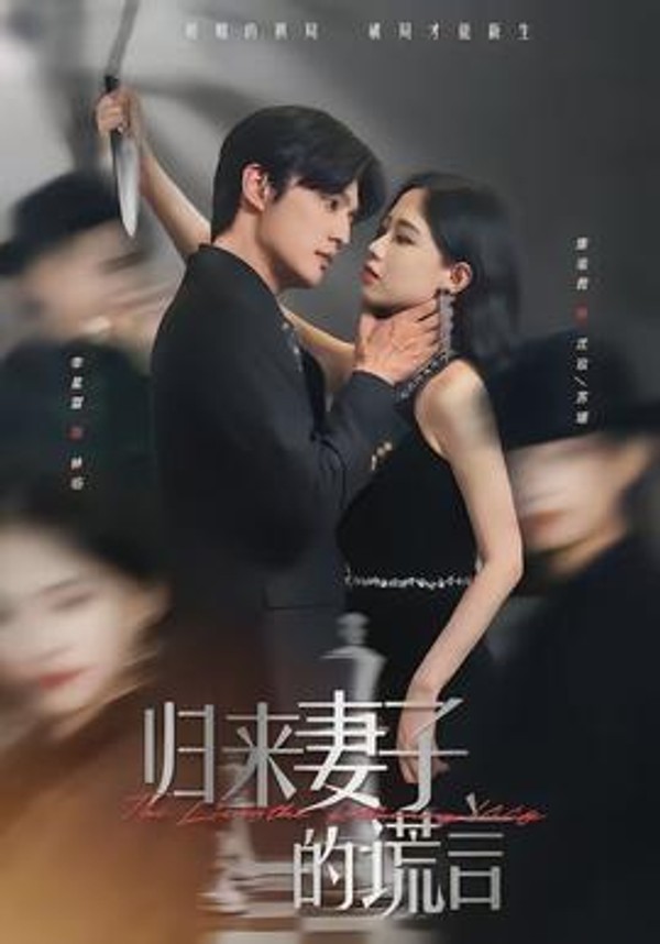 归来妻子的谎言封面图