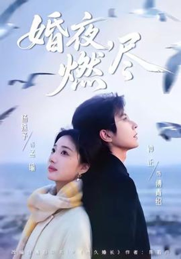 婚夜，燃尽封面图