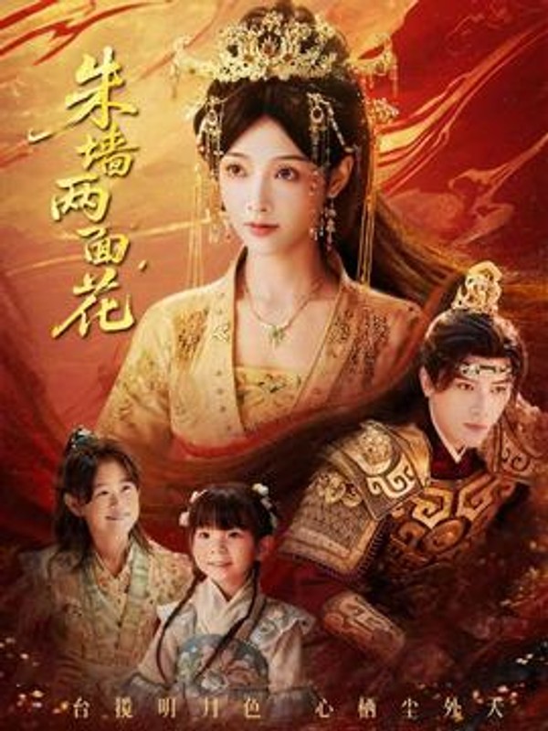 朱墙两面花封面图