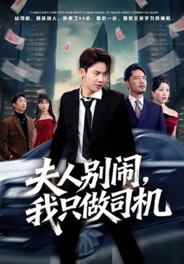 夫人别闹我只做司机封面图