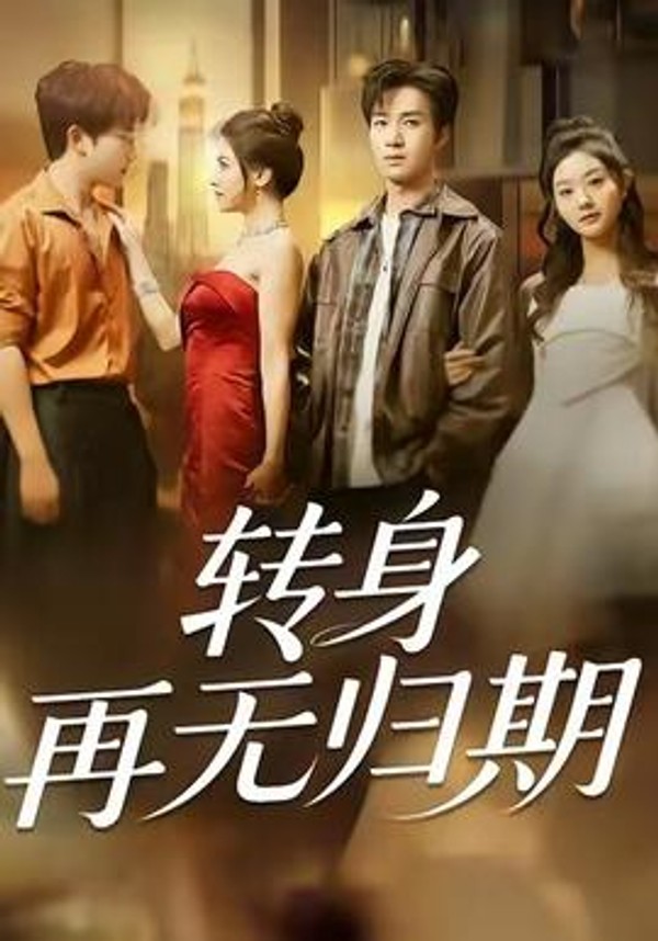 转身再无归期封面图