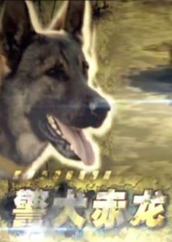 警犬赤龙封面图