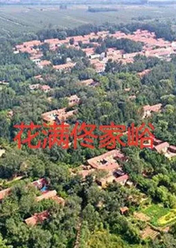 花满佟家峪封面图