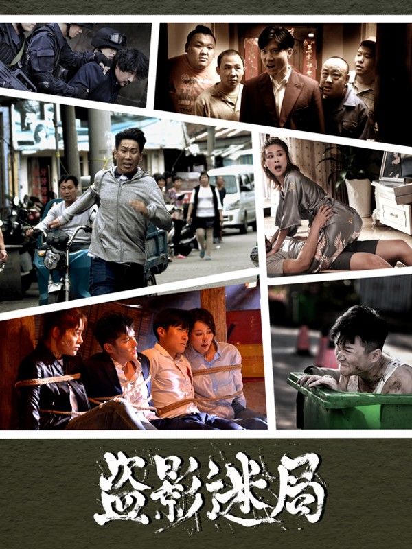 盗影迷局封面图
