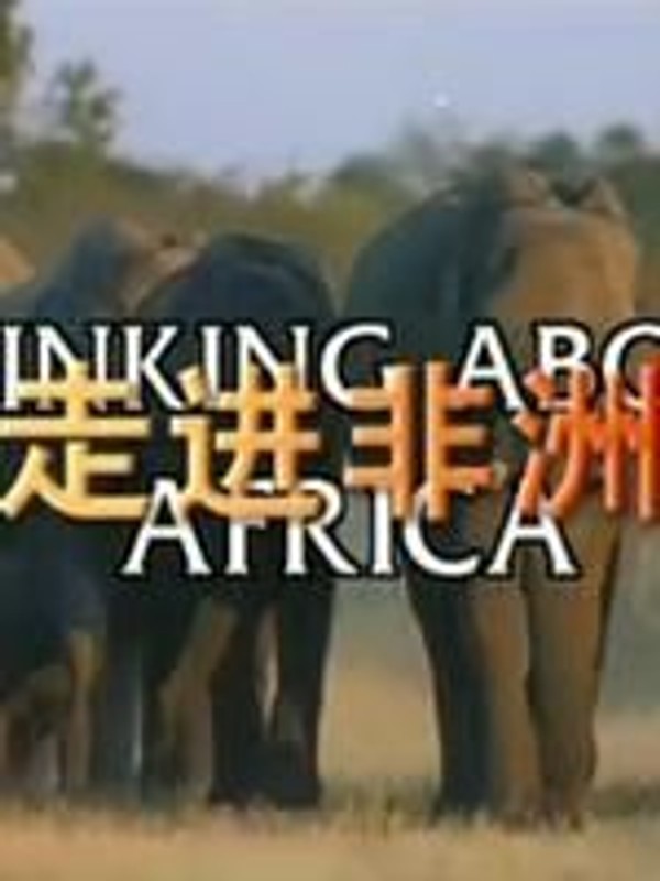 忆起非洲封面图