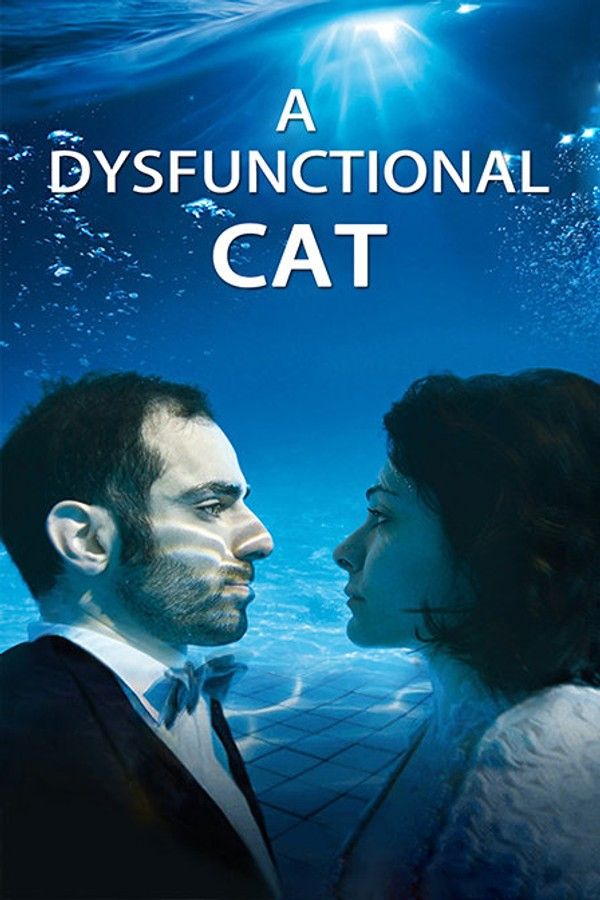 一只功能失调的猫封面图