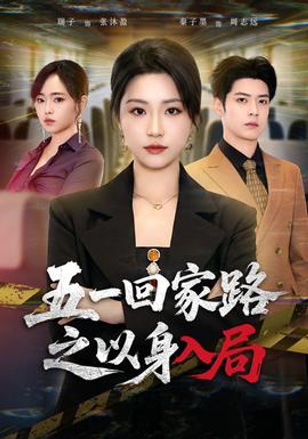 五一回家路之以身入局封面图