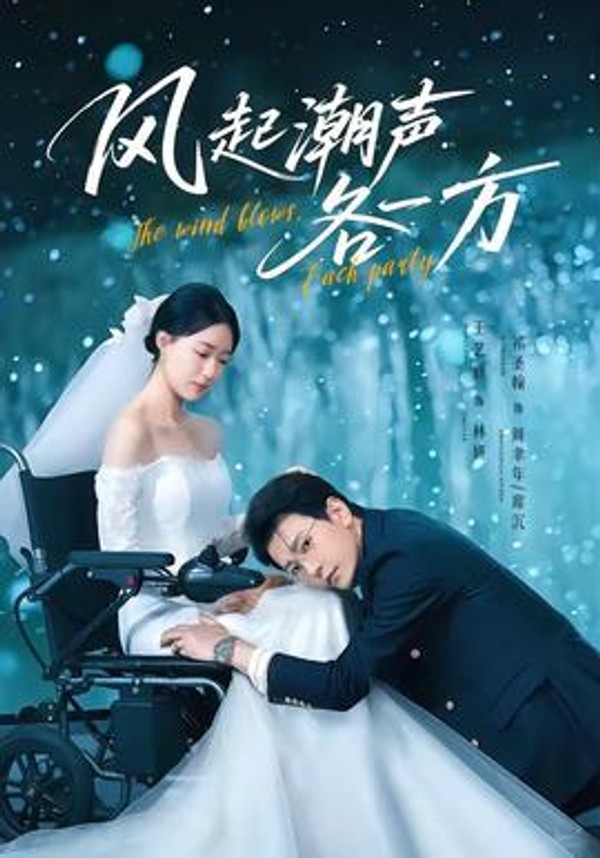 风起潮声各一方封面图