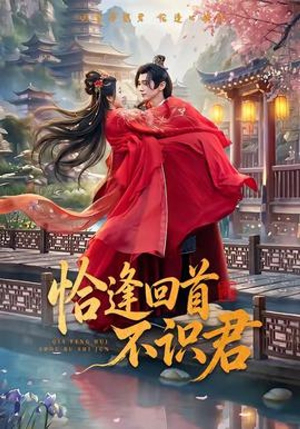 恰逢回首不识君封面图
