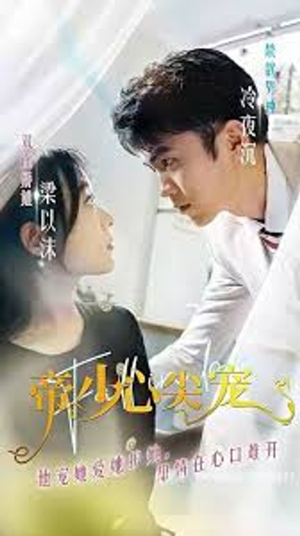 帝少心尖宠封面图