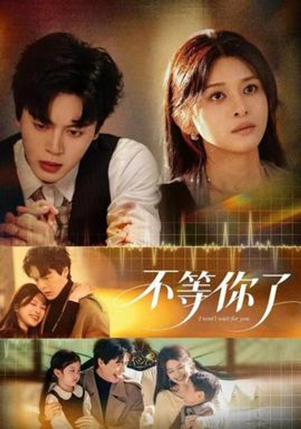 不等你了封面图