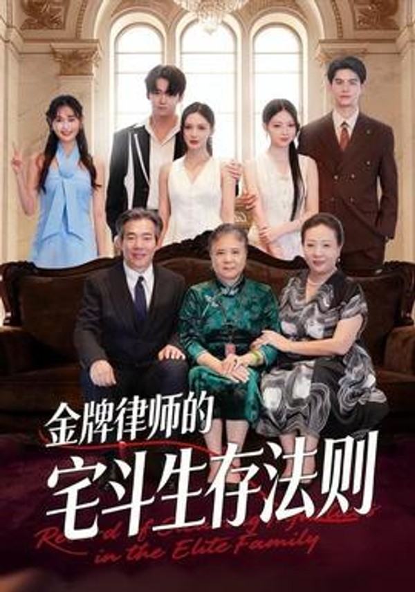 金牌律师的宅斗生存法则封面图