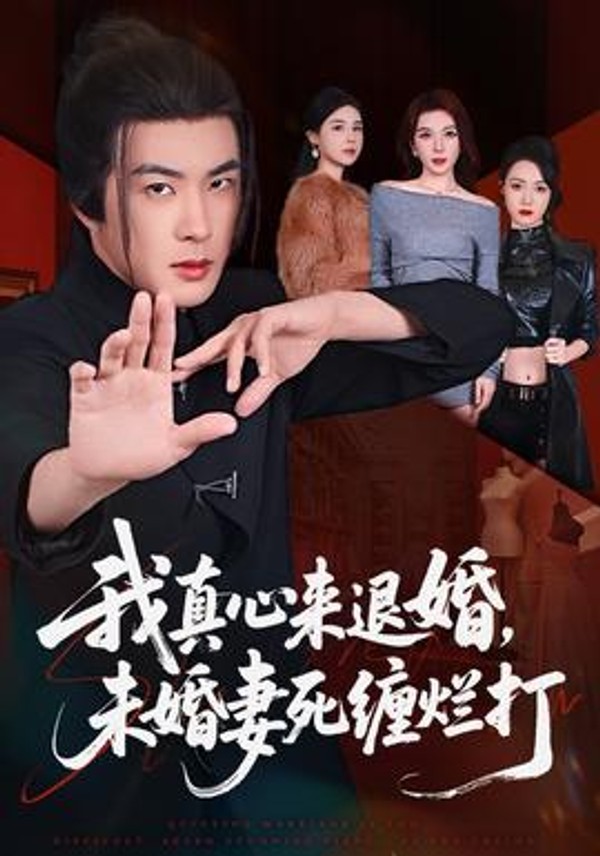 我真心来退婚，未婚妻死缠烂打封面图