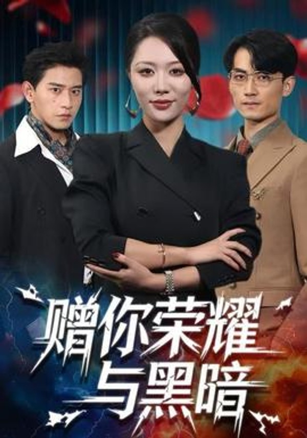赠你荣耀与黑暗封面图