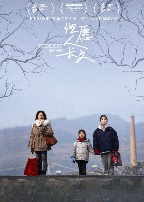 但愿人长久封面图
