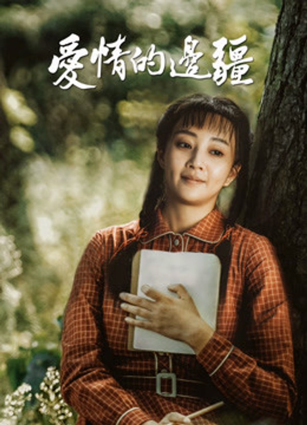 爱情的边疆DVD版封面图