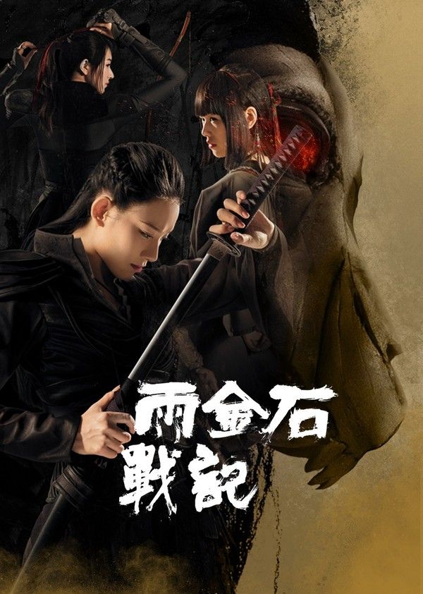 雨金石战记封面图
