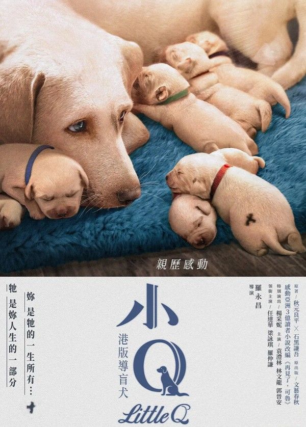 小Q粤语版封面图