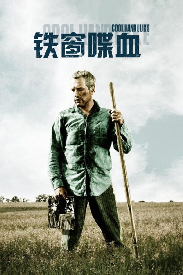 铁窗喋血封面图
