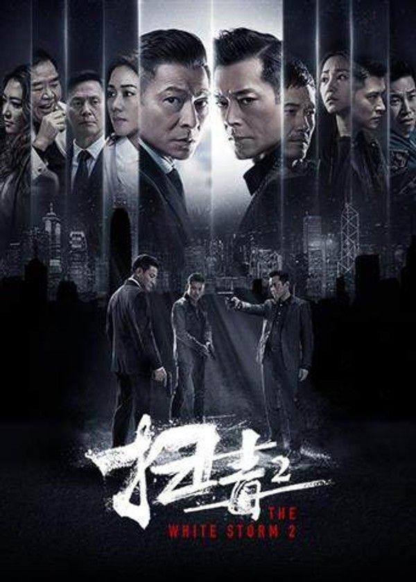 扫毒2：天地对决封面图