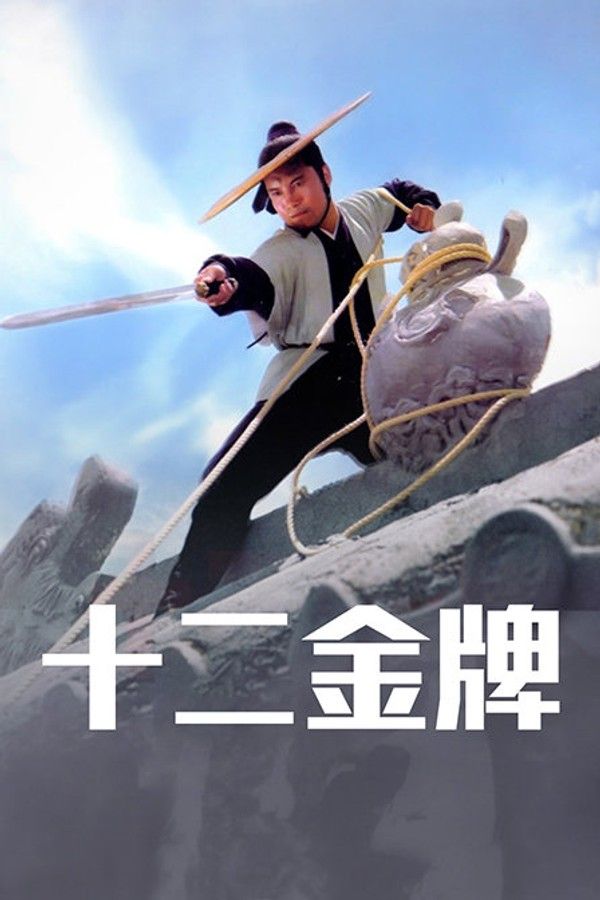 十二金牌封面图