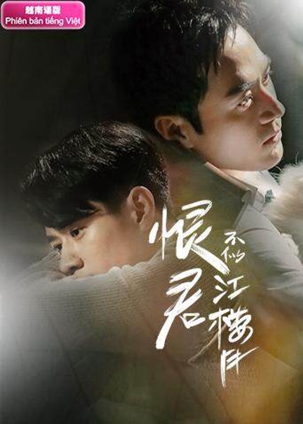 恨君不似江楼月越南语版封面图