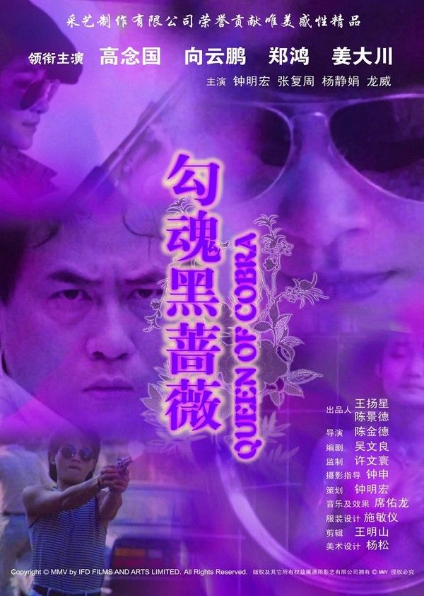 勾魂黑蔷薇封面图