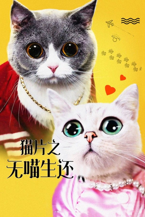 猫片之无喵生还封面图