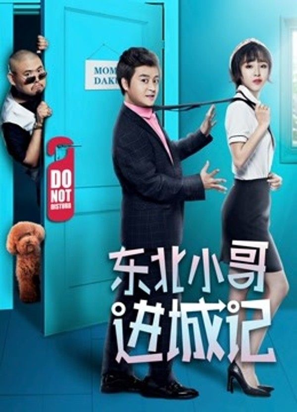 东北小哥进城记封面图