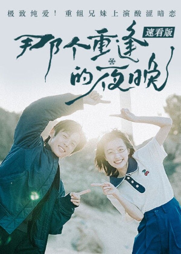 那个重逢的夜晚速看版封面图