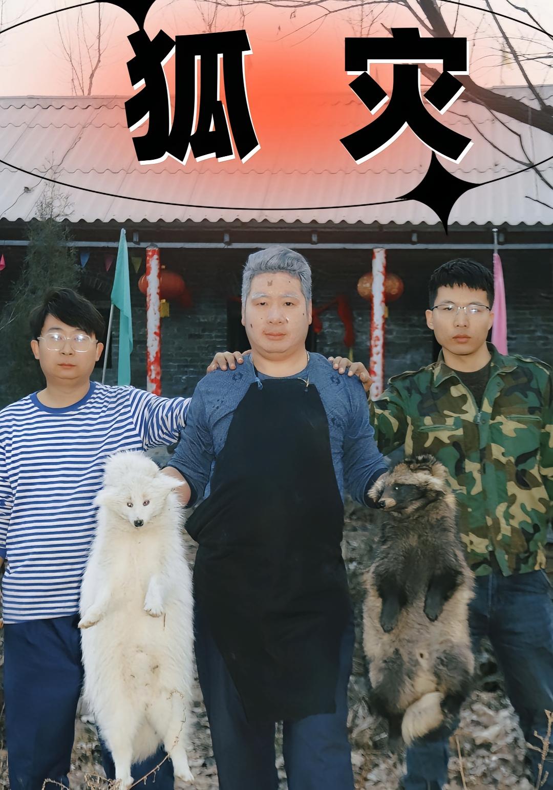 狐灾封面图