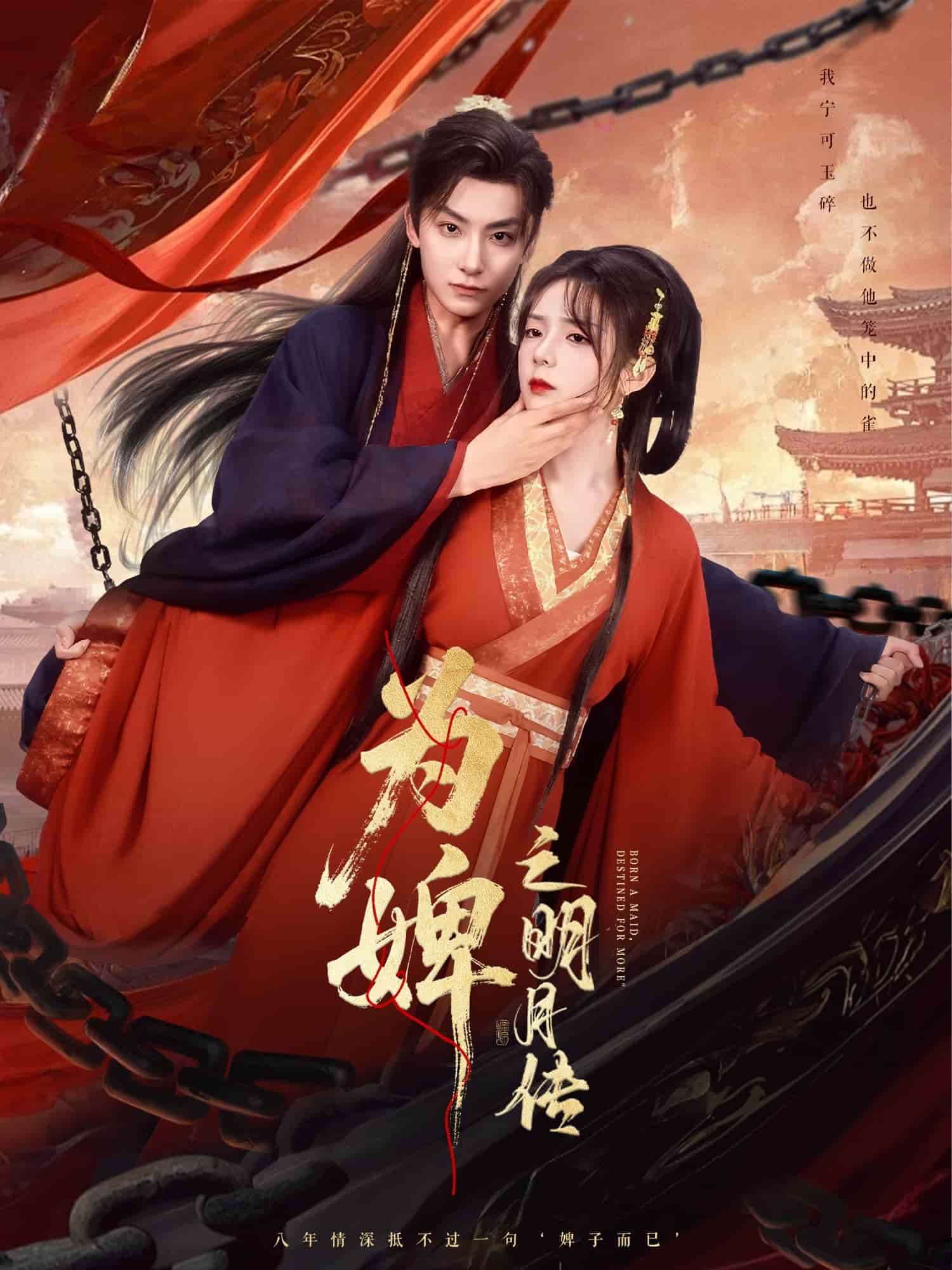 为婢之明月传封面图