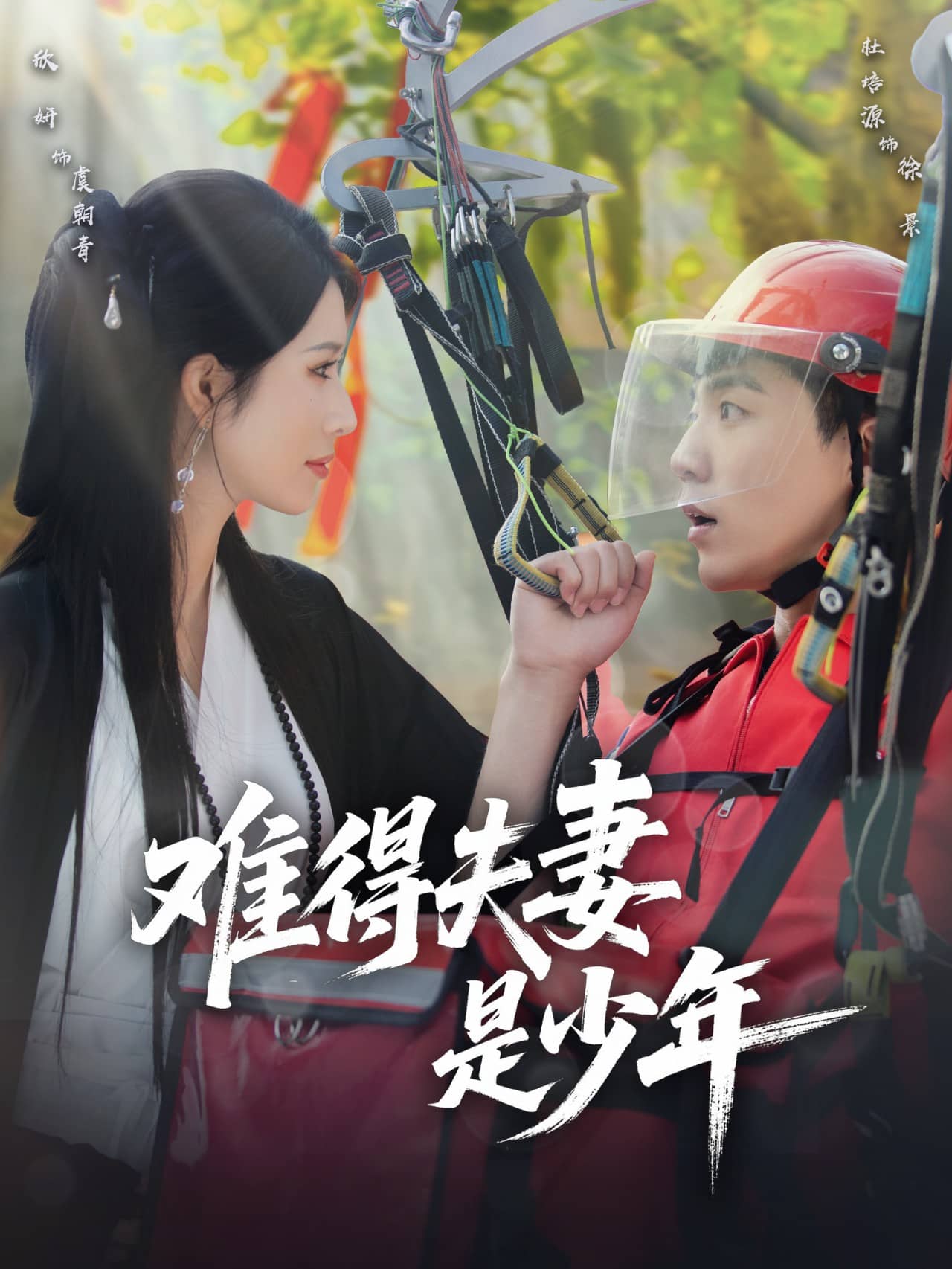 难得夫妻是少年封面图
