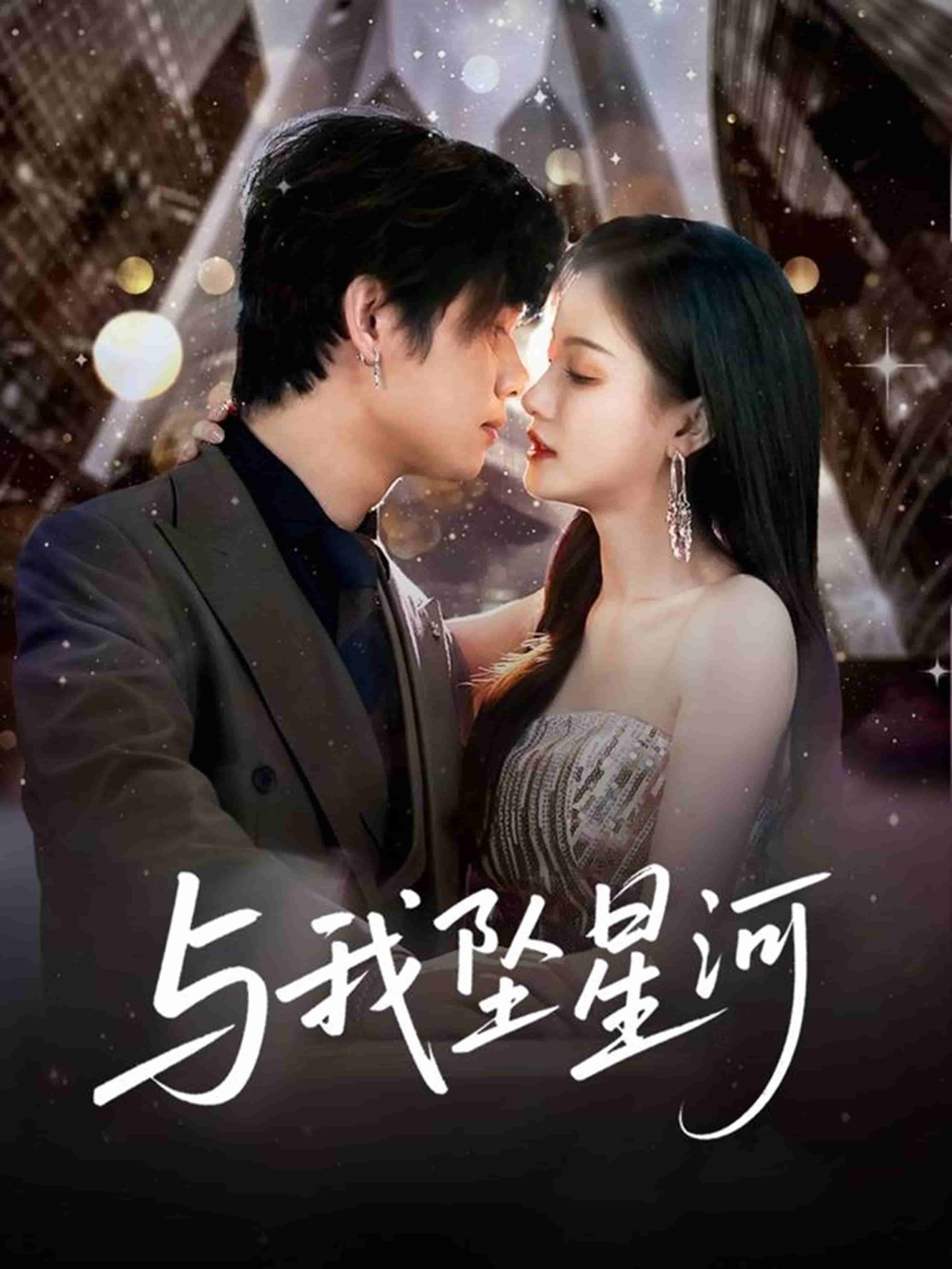 与我坠星河封面图
