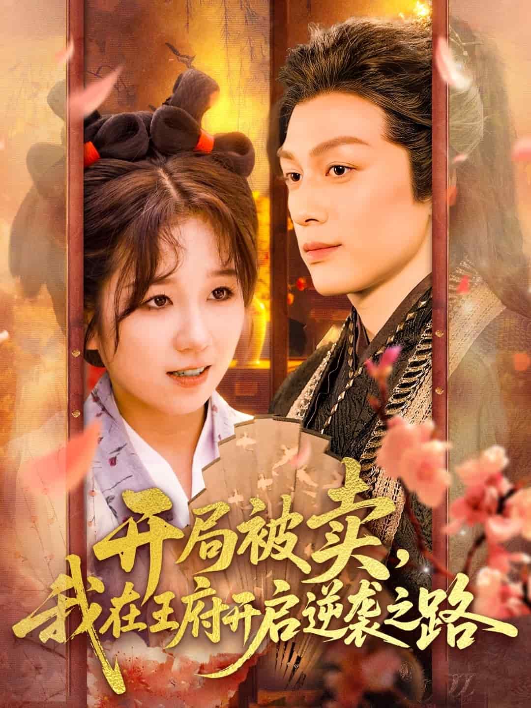 开局被卖我在王府开启逆袭之路封面图