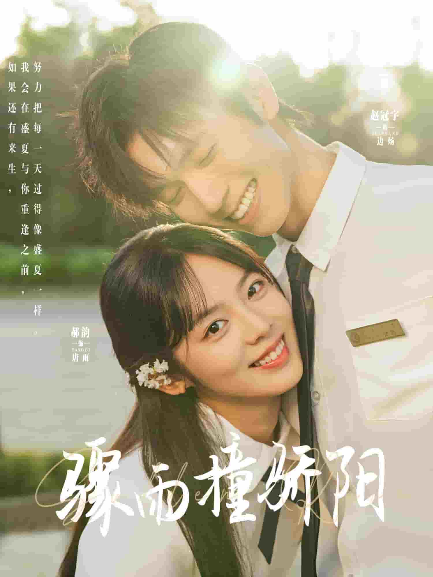 骤雨撞骄阳封面图