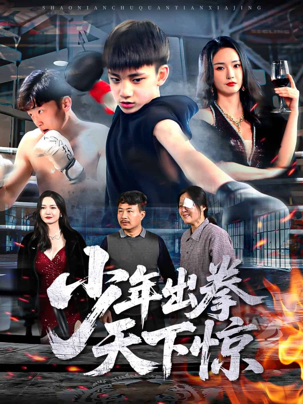 少年出拳天下惊封面图