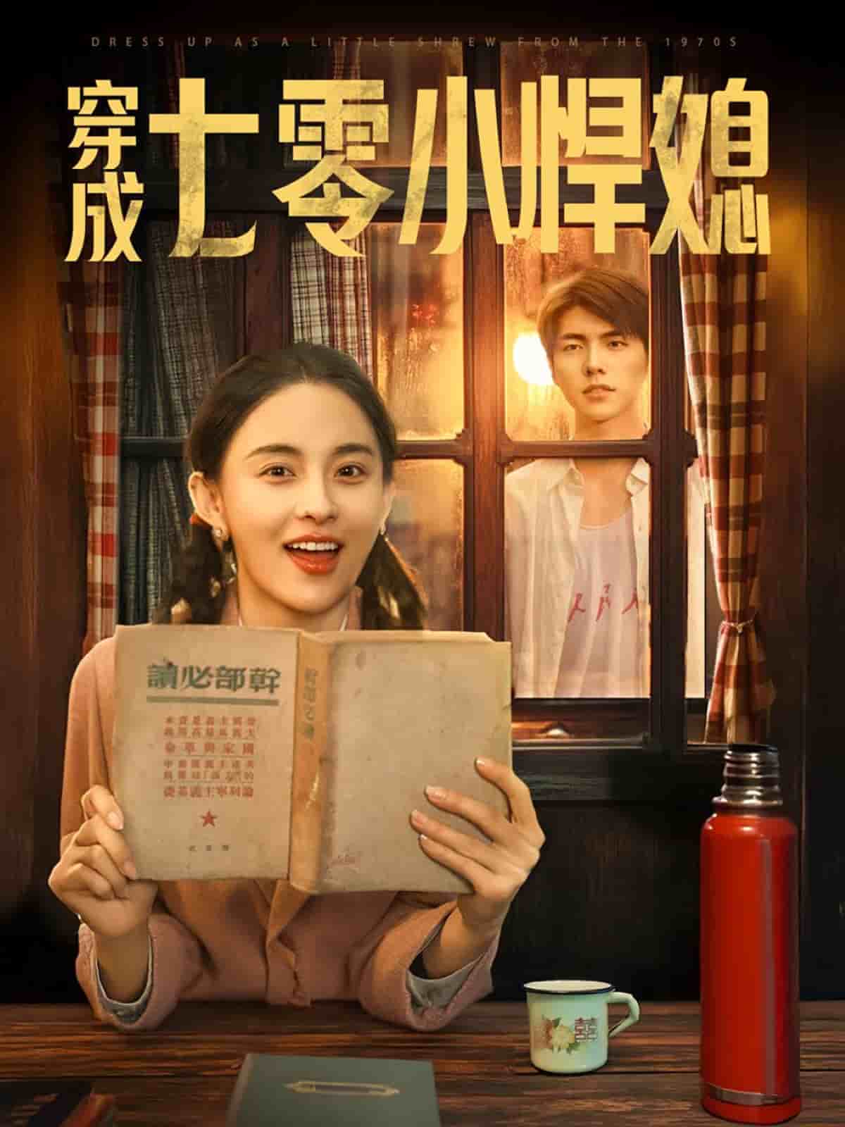 穿成七零小悍媳封面图