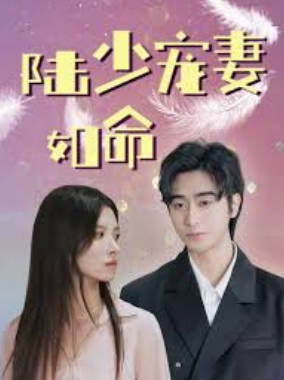 陆少宠妻如命封面图