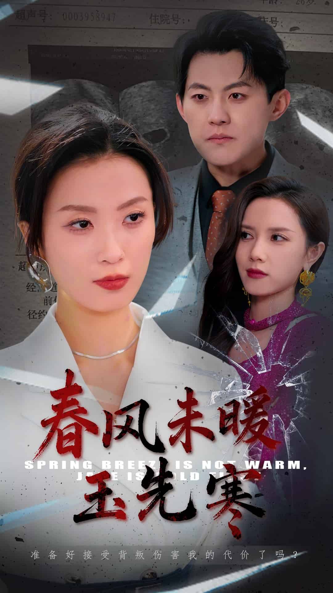 春风未暖玉先寒封面图