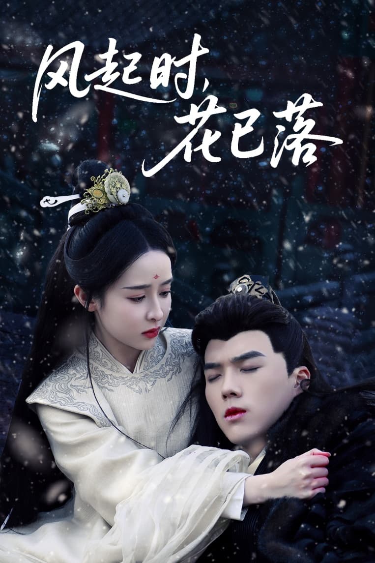 风起时，花已落封面图