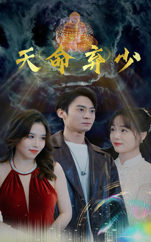 天命弃少封面图