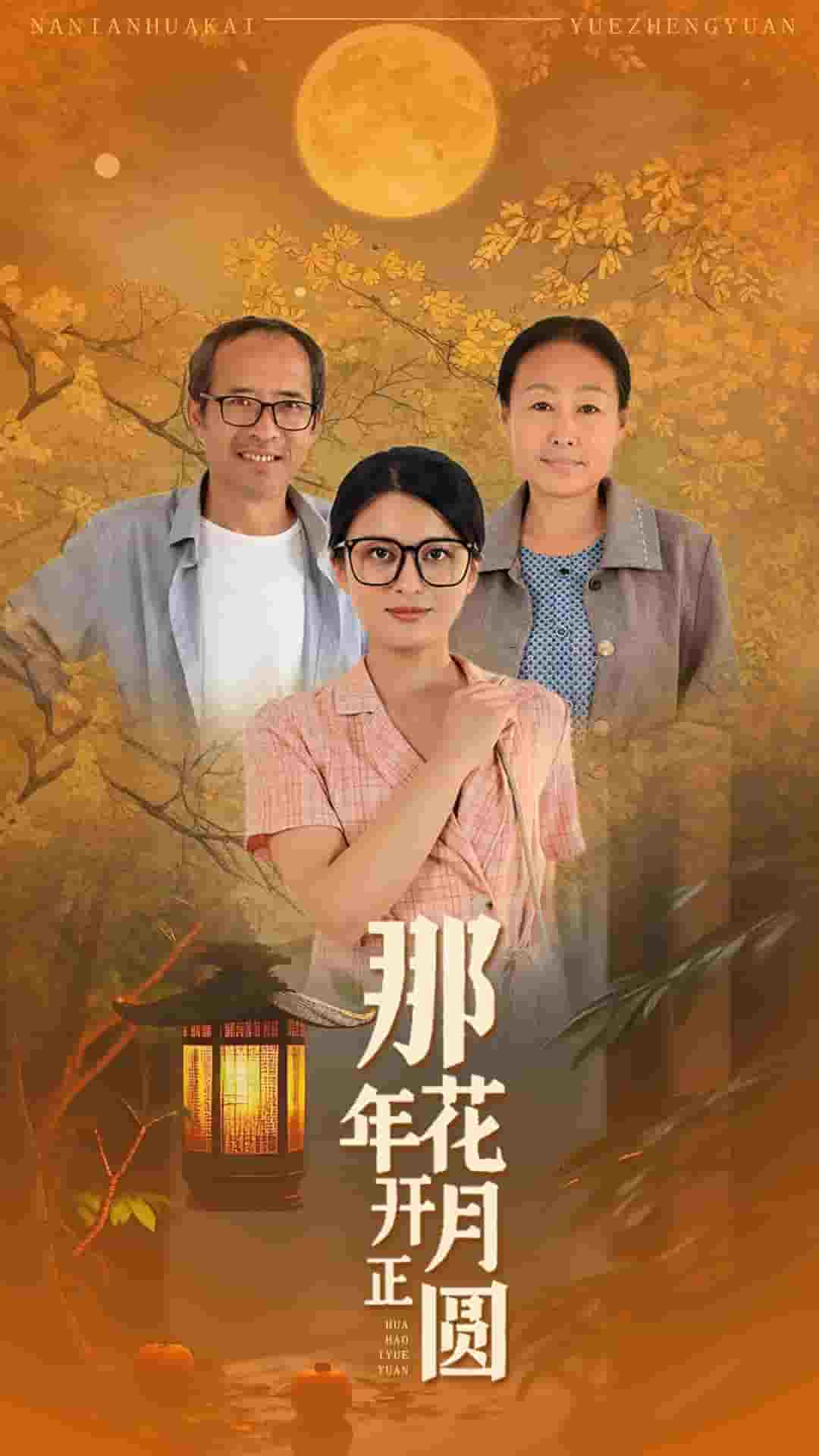 那年花开月正圆封面图